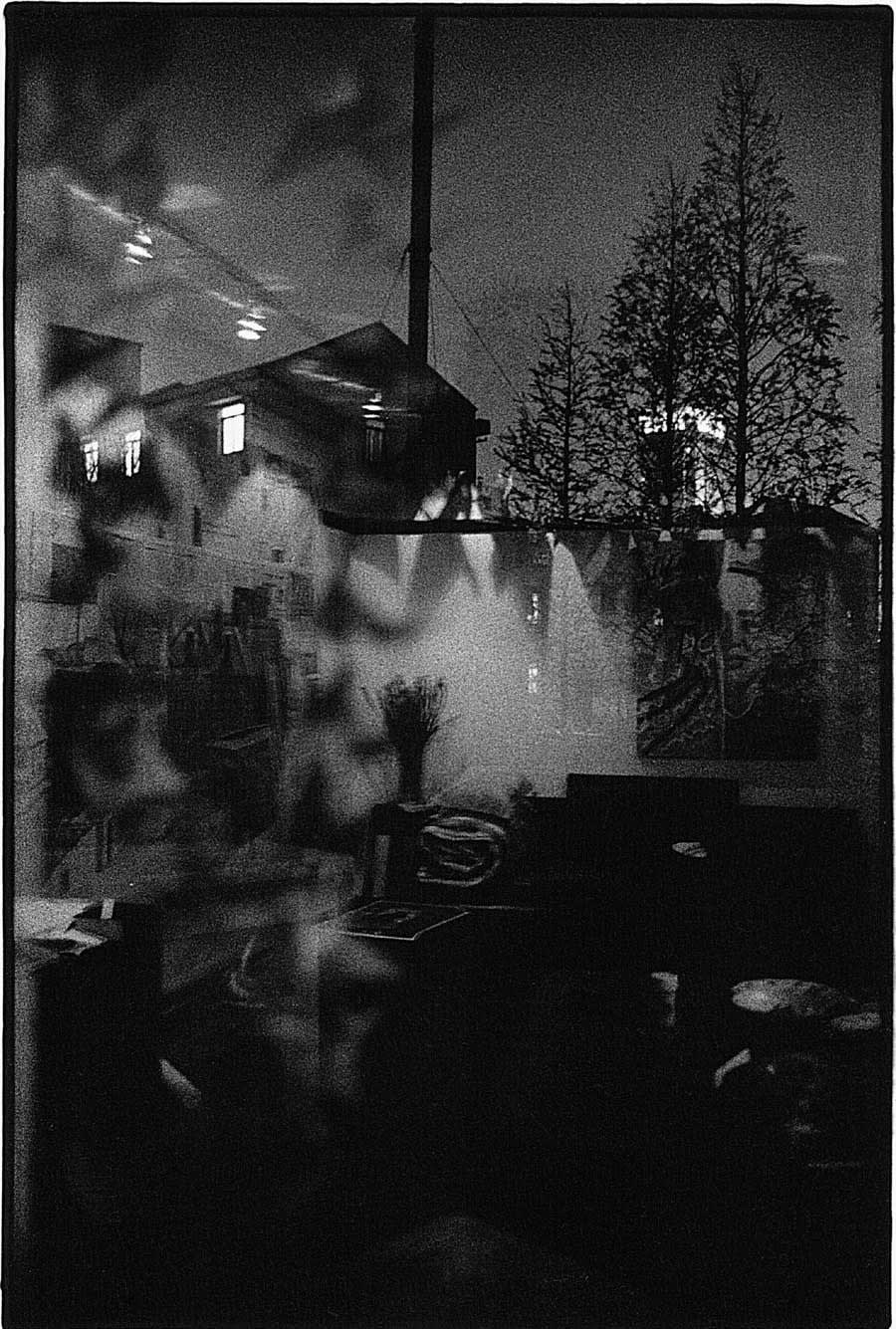 Serge Clément, Oiseaux, 1999