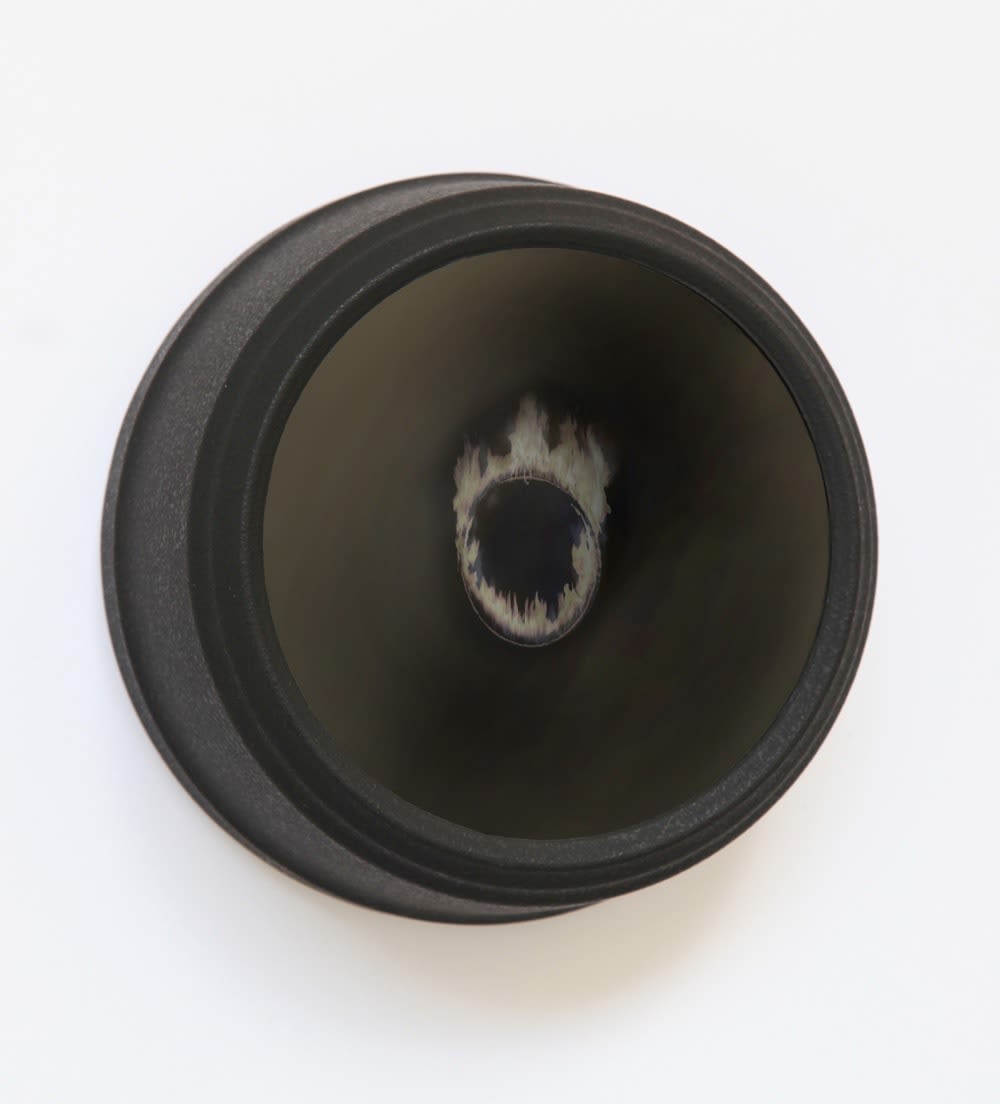 Ken Matsubara, Winter Dreams: Flaming Hoop, 2011