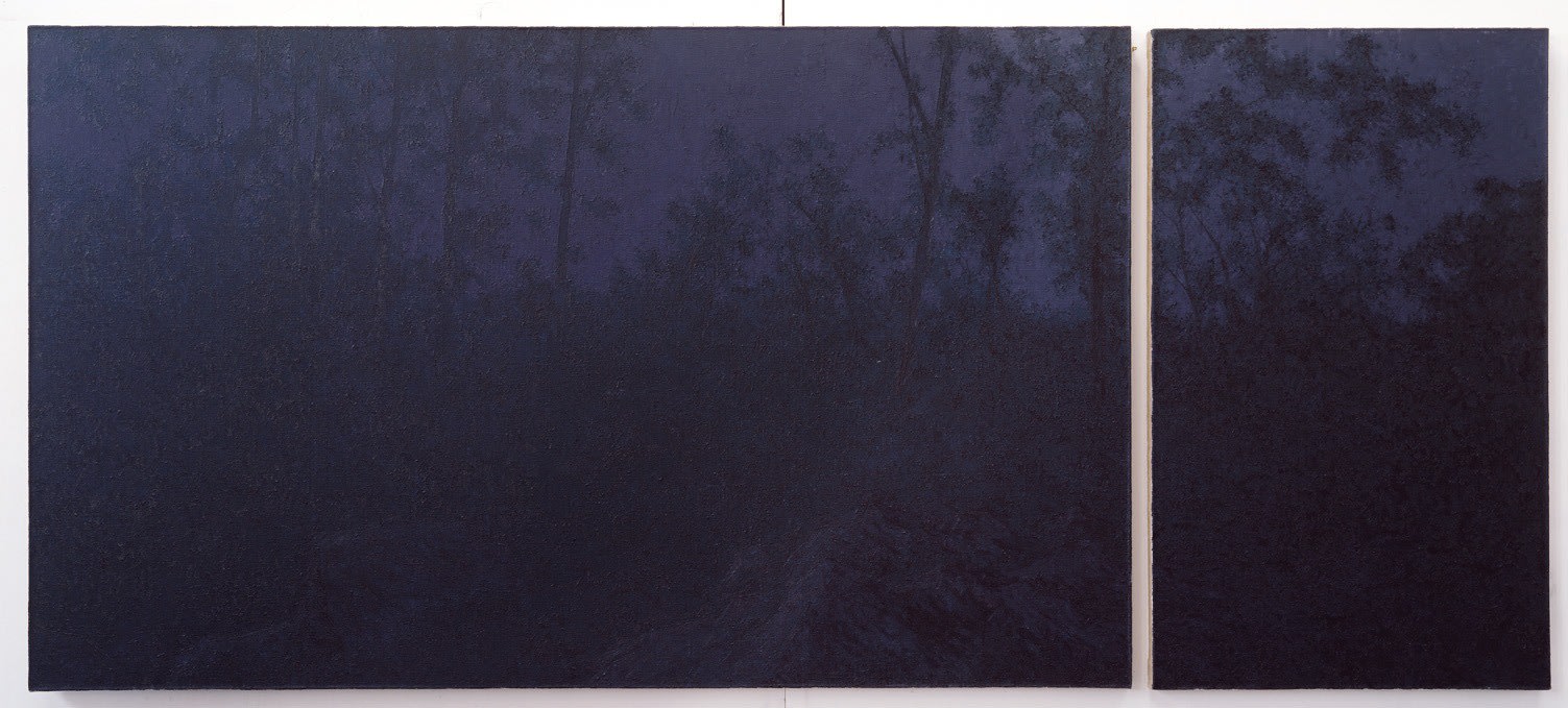 Pan Jian, Shadows without a Course, 2012