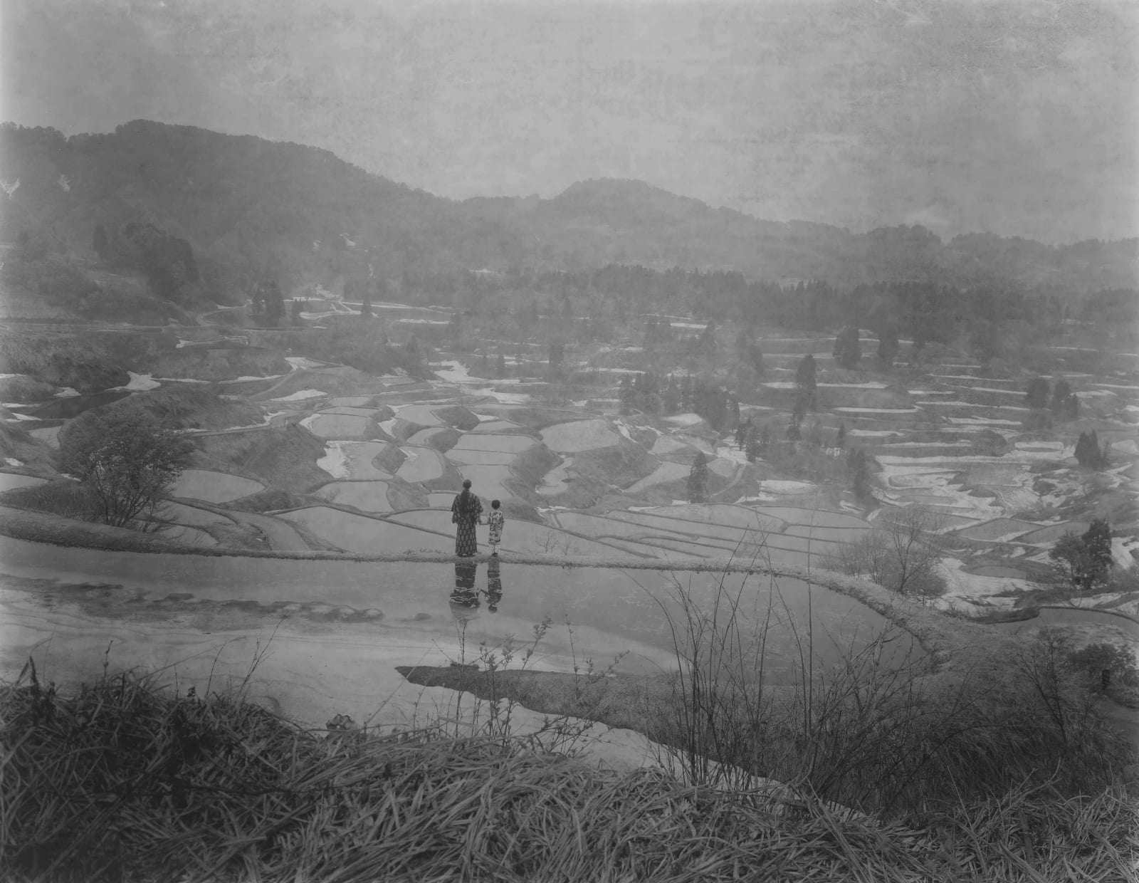 RongRong & Inri, Tsumari Story No.7-1, 2012