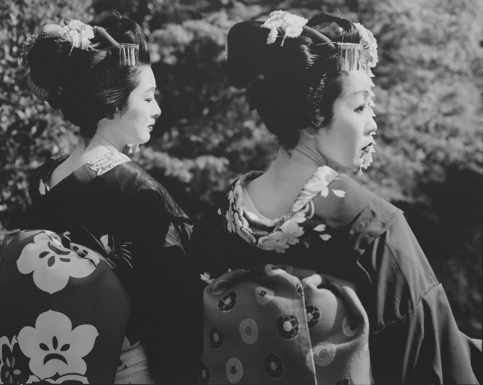 Huang Rui, Geisha 7, 2000