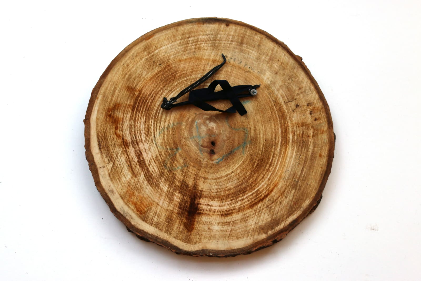 Frog King, Frog Circle of Life, 2017