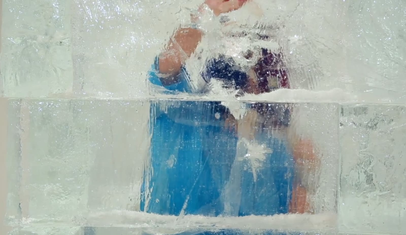 Xiao Lu, Polar, 2016