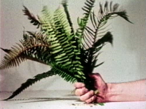 Dennis Oppenheim, Compression-Fern (hand)