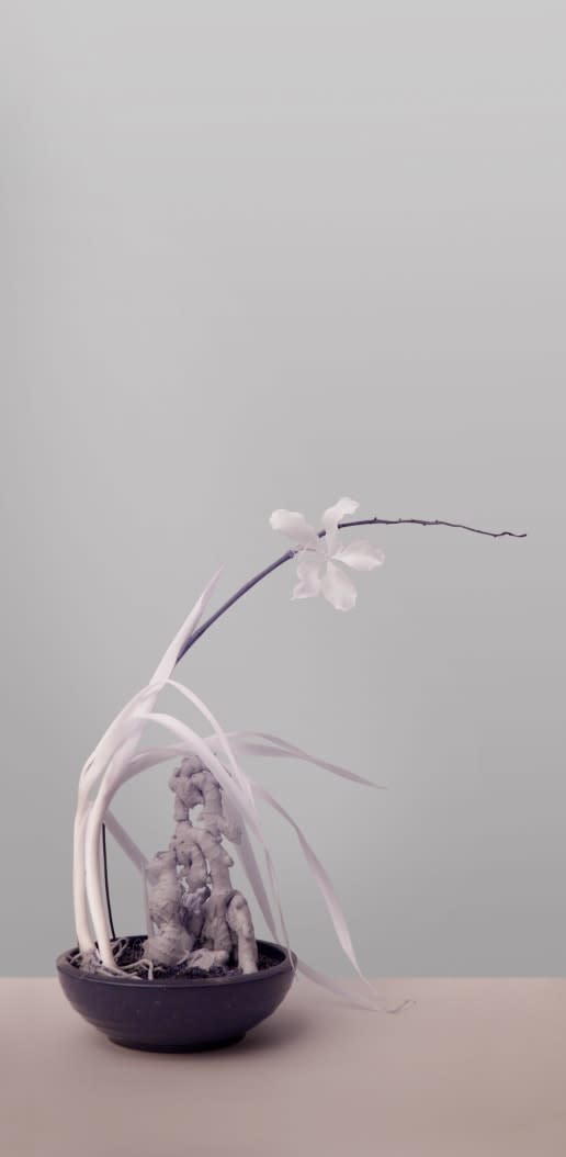 Avon Nga Fong LEE, Nicked Type Specimen III (Junzi Series), Orchid, 2016