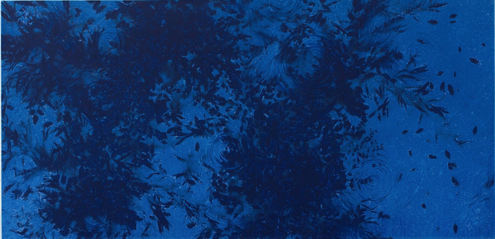 Pan Jian, A-20190142, 2019