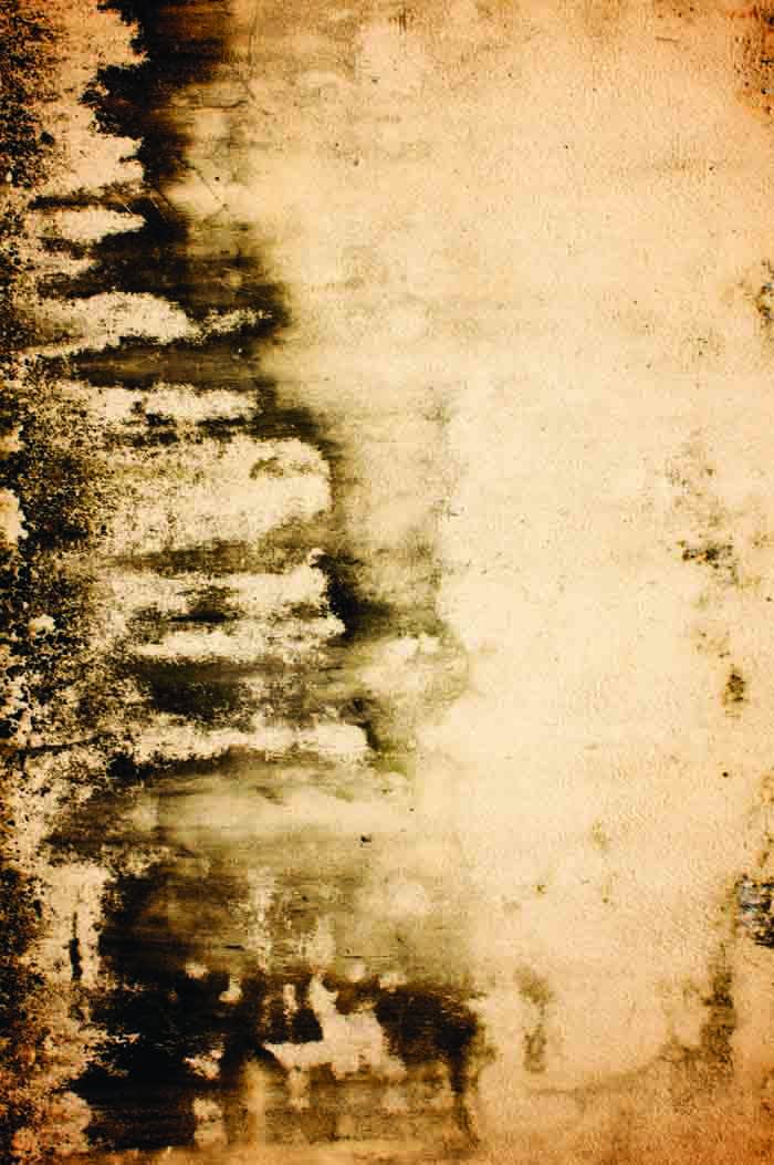 Phu Nam Thuc Ha, Pati-Nation No.6-Nhi Dong 2 Hospital, Ho Chi Minh City. East wall, 2008