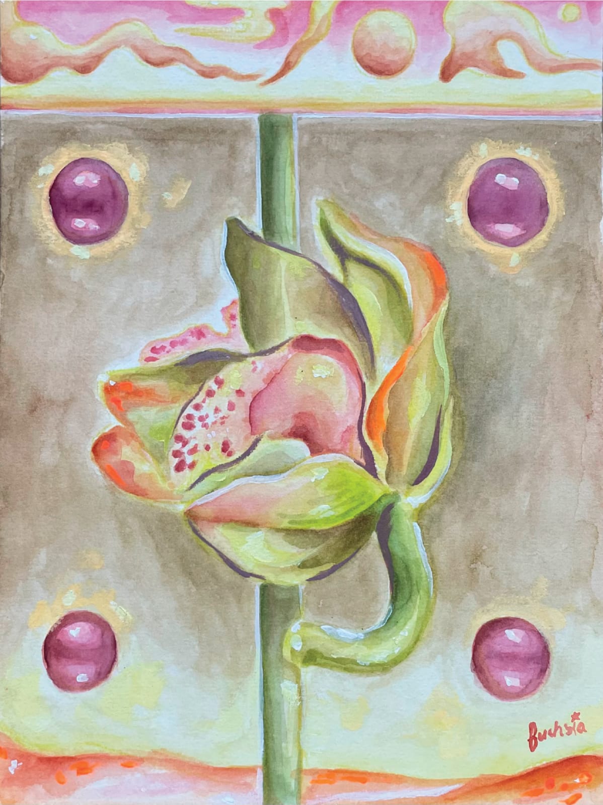 fuchsia, Bloom 10, 2023