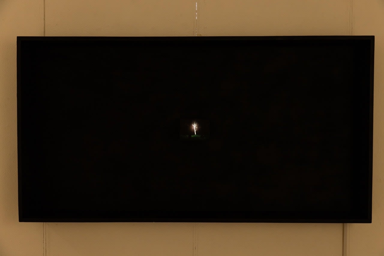 Wong Wan Hang, Caleb, Lord will be your everlasting light, and will be your glory, 2024