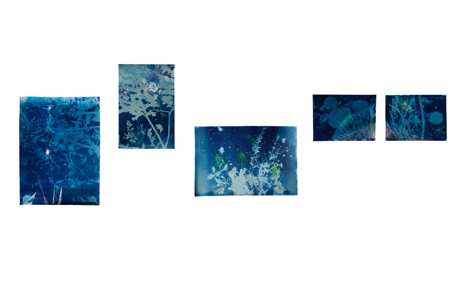 Christine Nguyen, Arroyo Secco, 2009 - 2010