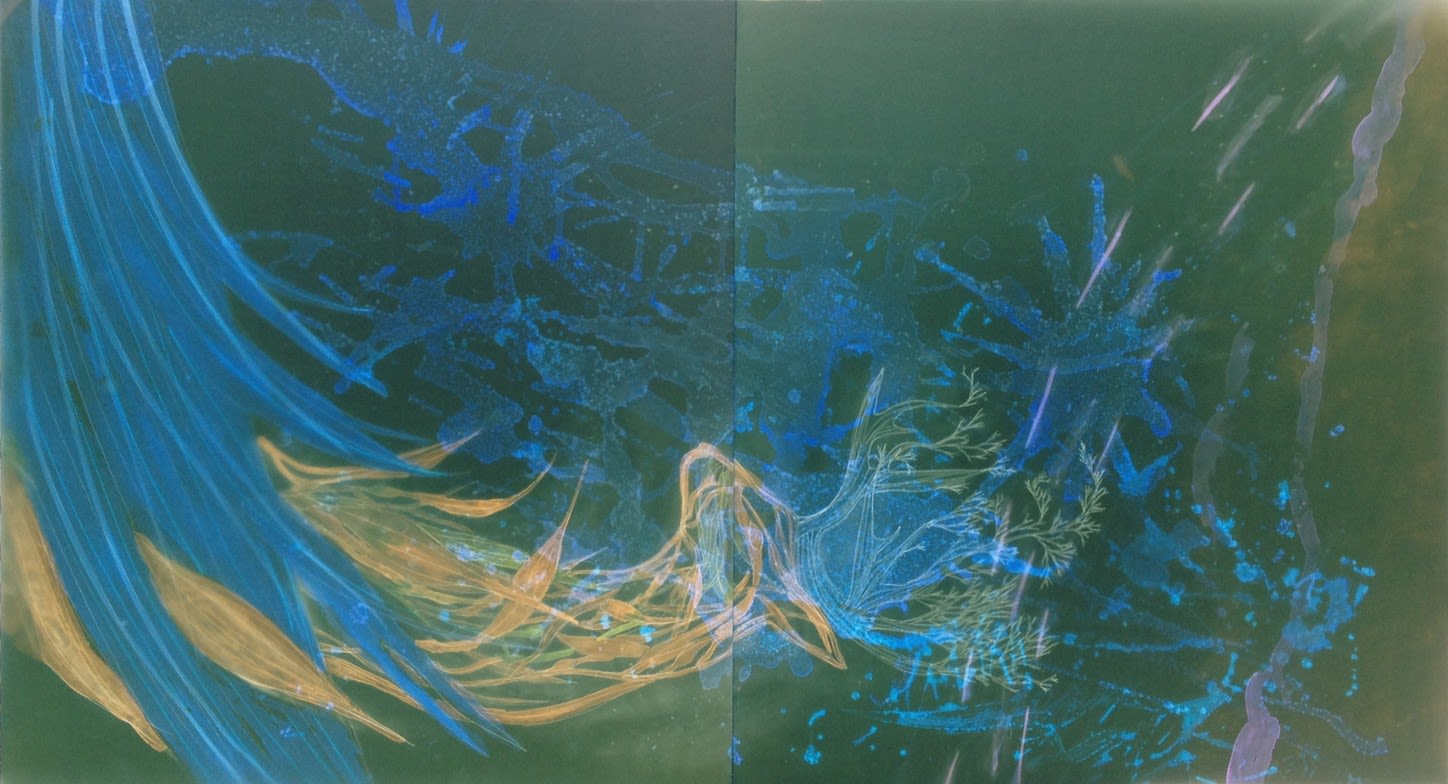 Christine Nguyen, The Stag, 2007