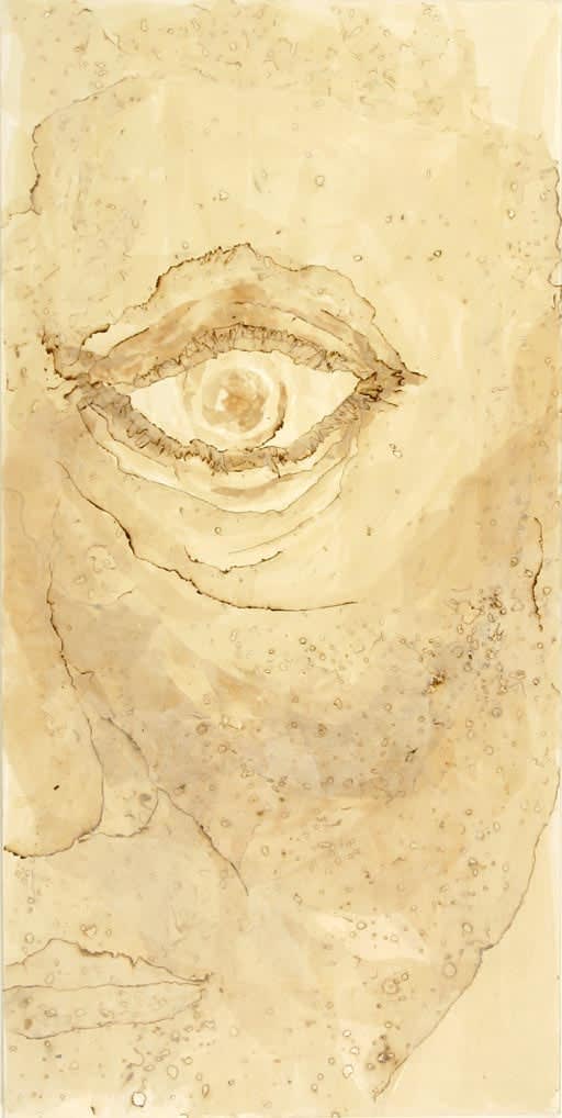 Carol Lee Mei Kuen, Seeing Through the Eye of Another, 2003