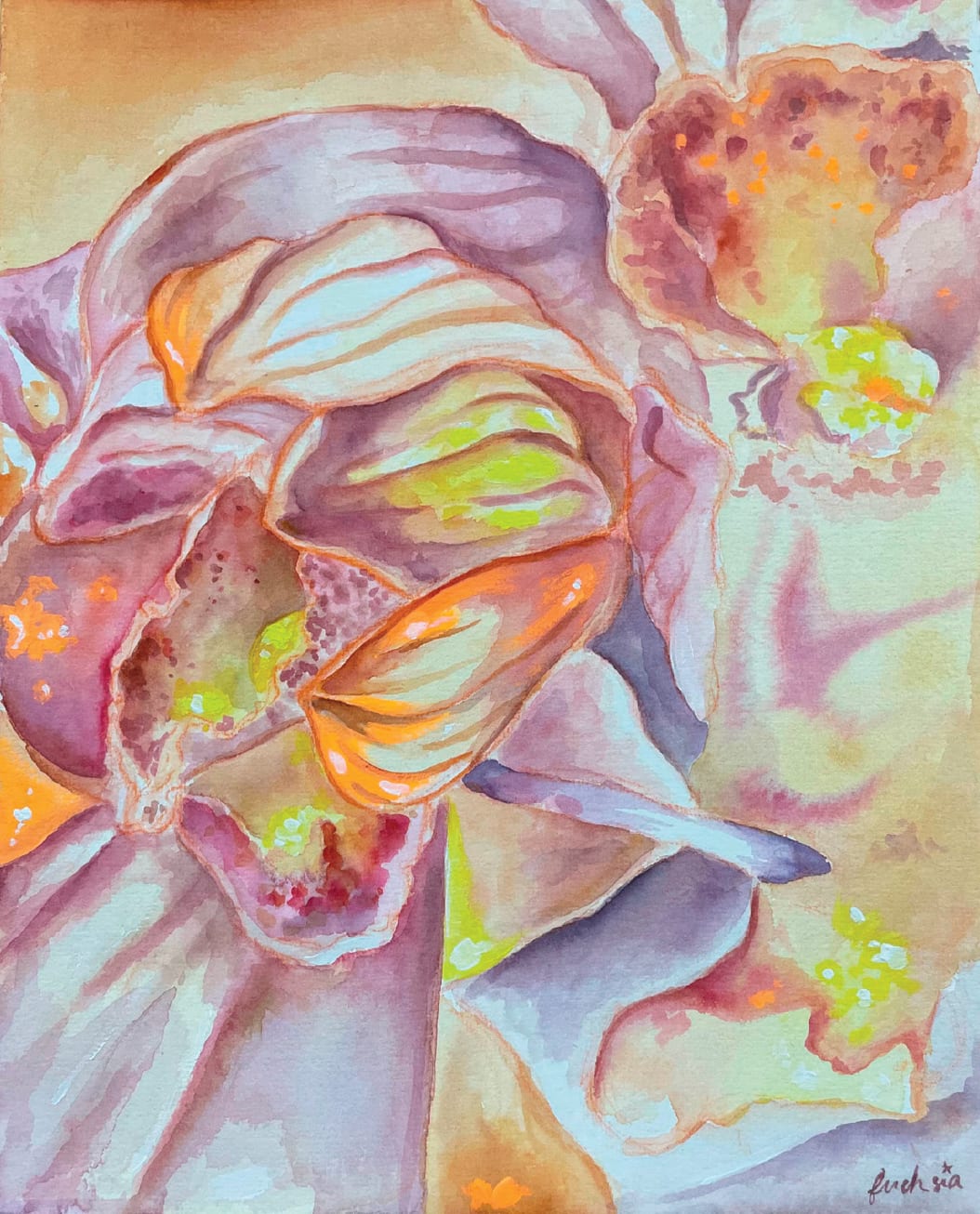 fuchsia, Bloom 1, 2023