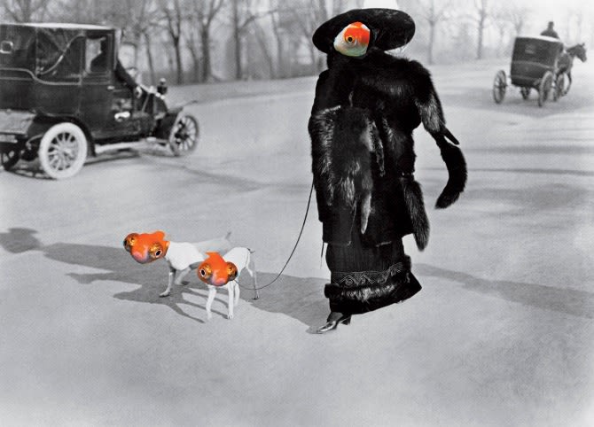 Jesemy Main-Hsin WANG, Aurum Pisces 1, 2014