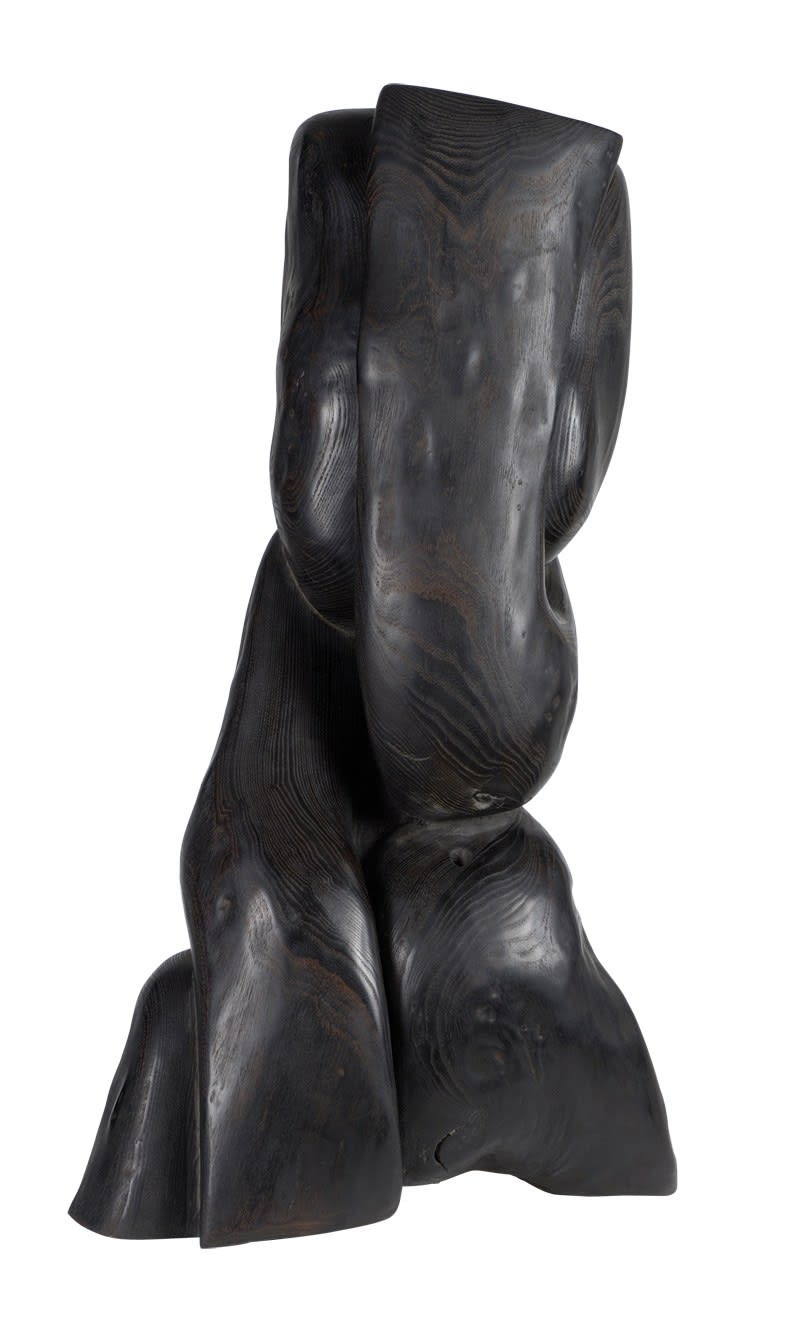 Wang Keping, Untitled 6 - WK06, 2003