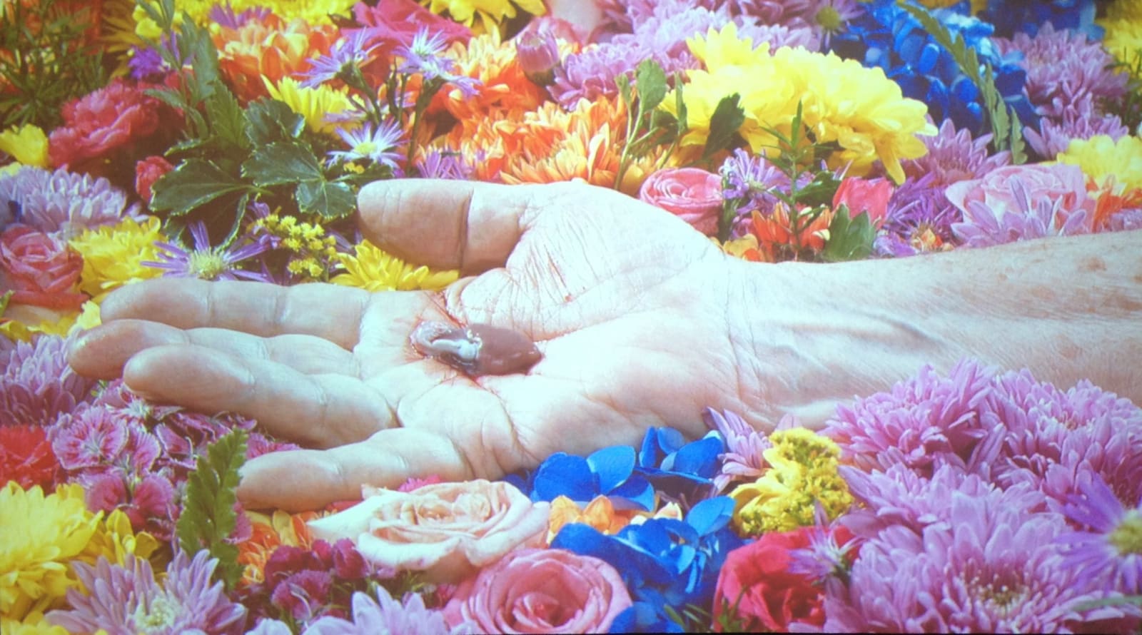 Dinh Q. Lê, Glitter’s Paradise, 2015