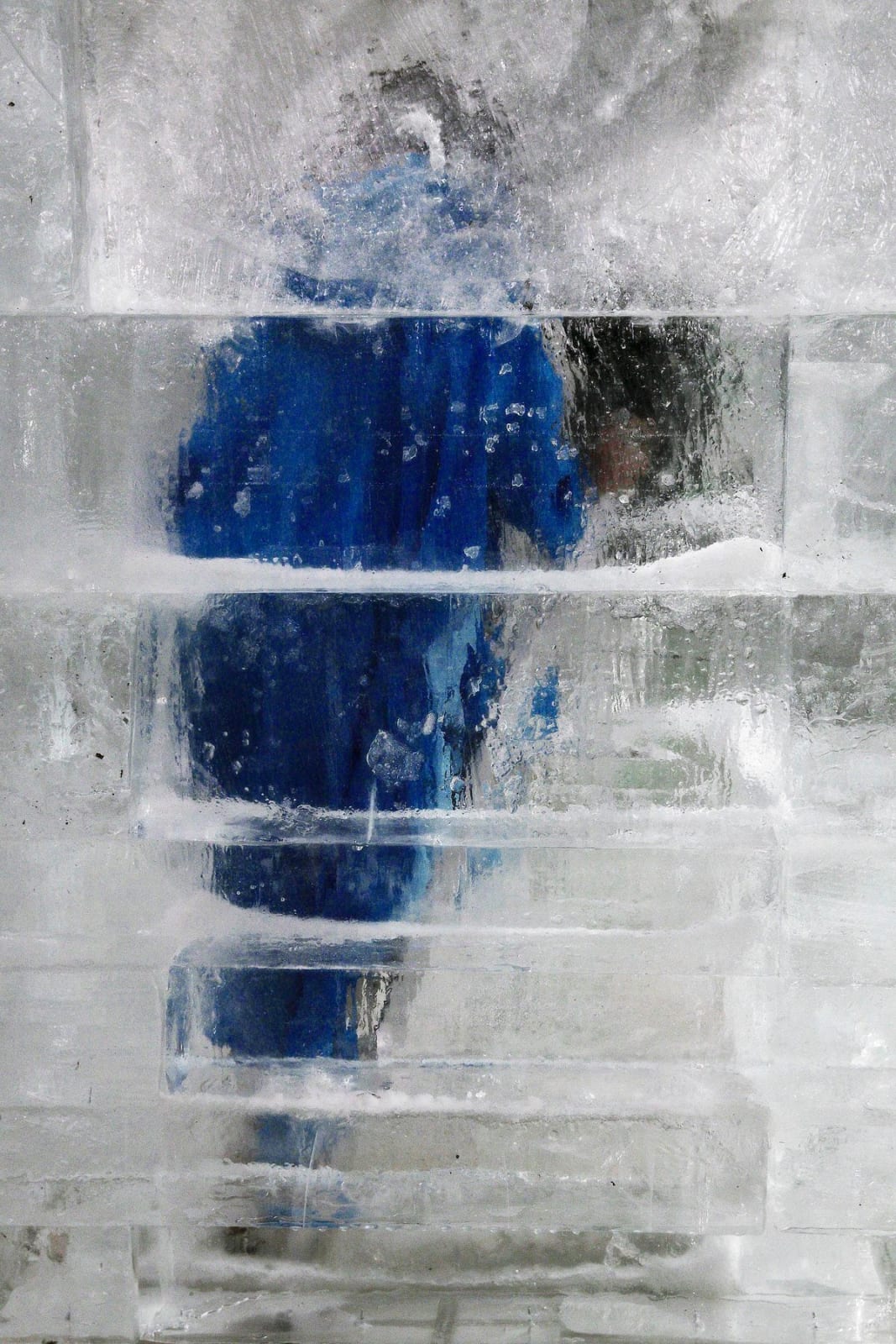 Xiao Lu, Polar-1, 2016