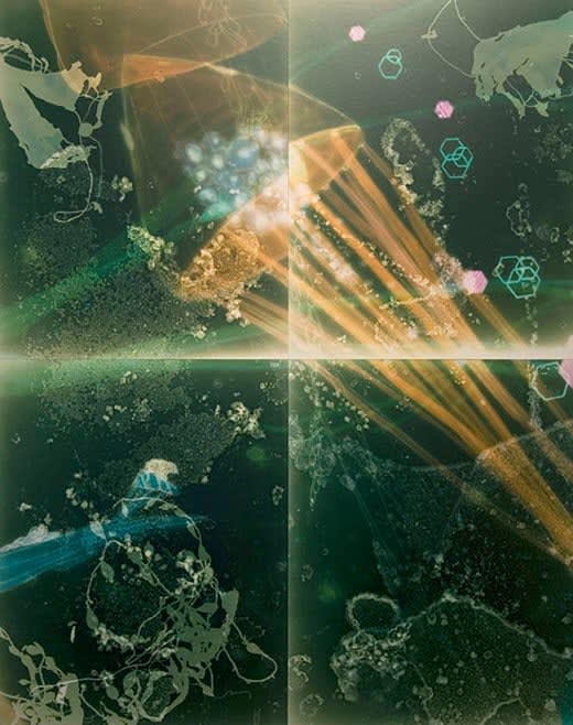 Christine Nguyen, Saline Jellies, 2007