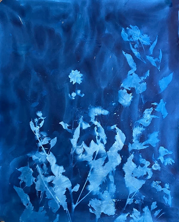 Christine Nguyen, Sunflowers, Stars and Constellations 2021-9, 2021