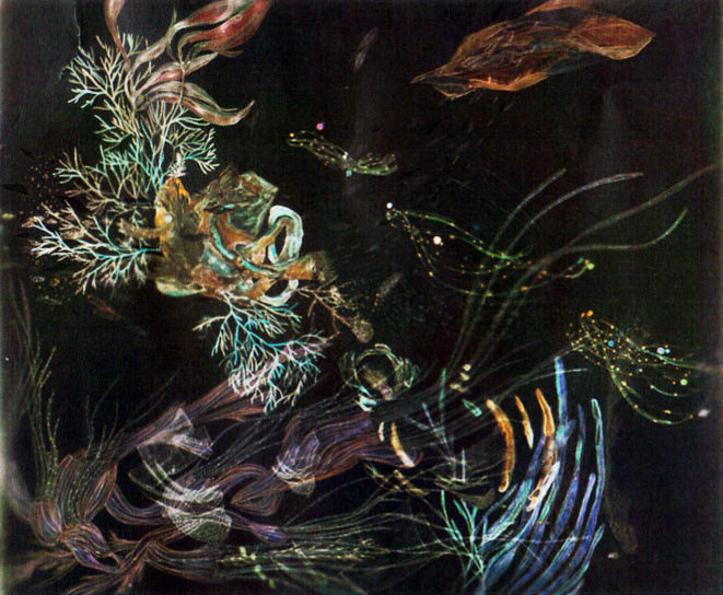 Christine Nguyen, Dark Matter Debris, 2009