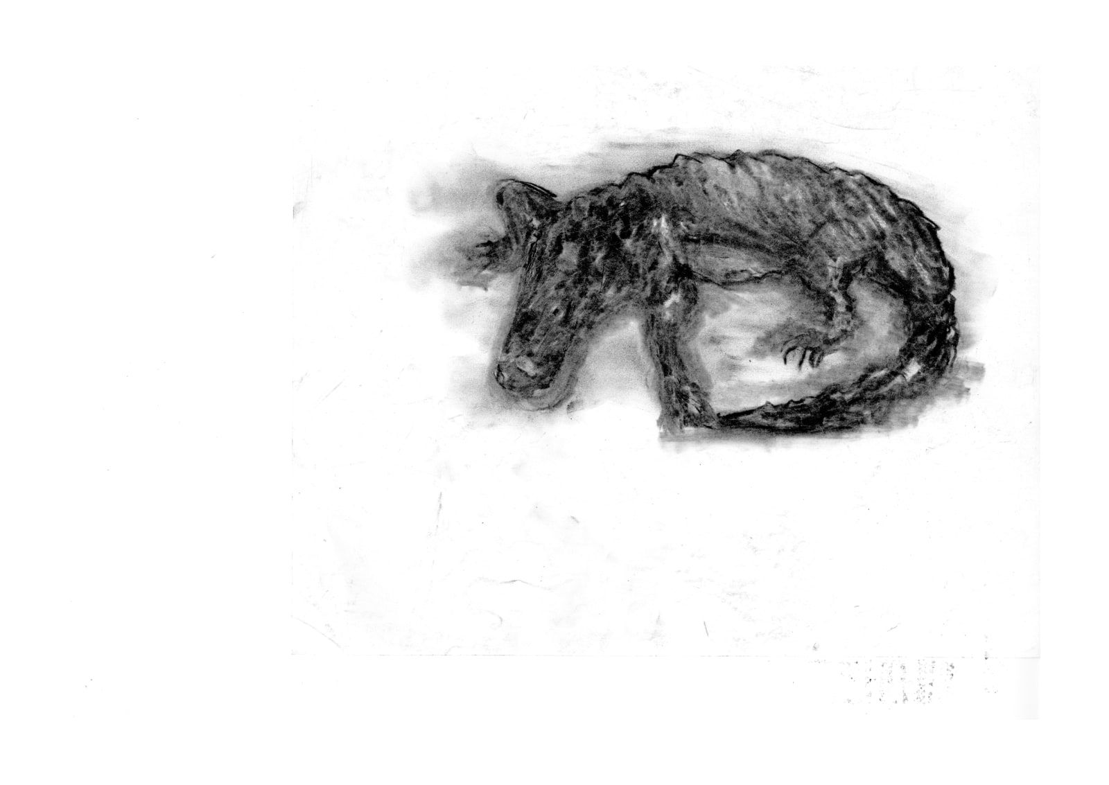 Jonathan Kan, Reality, The Alligator, 2025