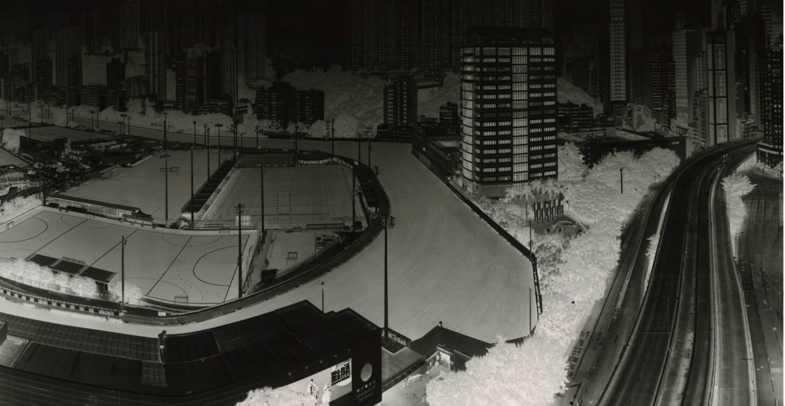 Shi Guorui, Happy Valley Hong Kong 21-22 Aug 2015 (SGRHK08), 2015