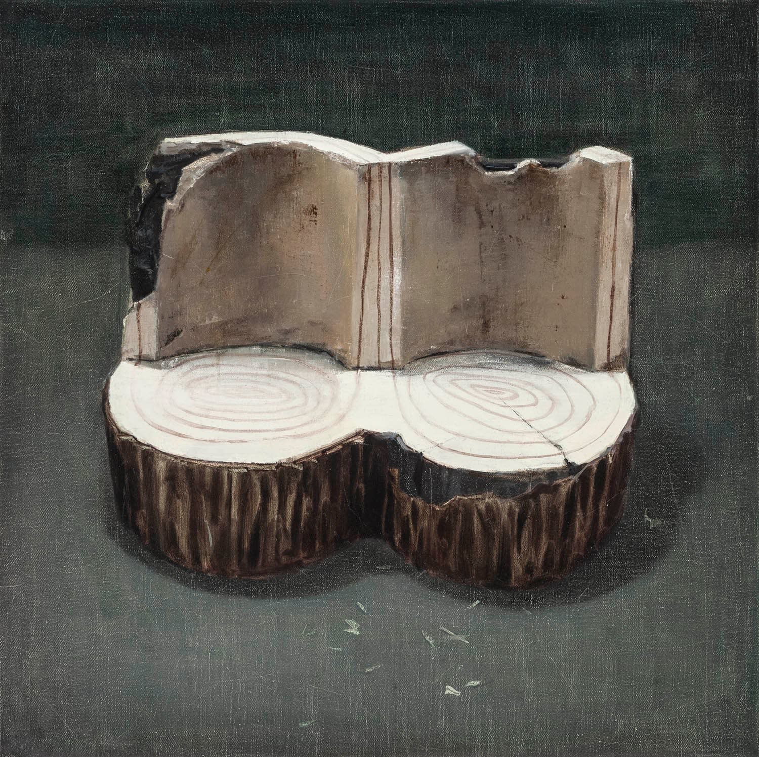 Xiao Zheluo, Twin Trunks, 2011