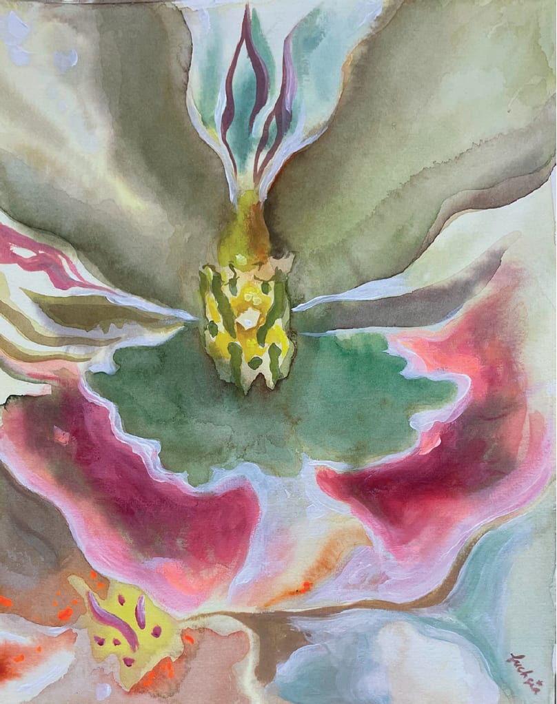 fuchsia, Bloom 6, 2023