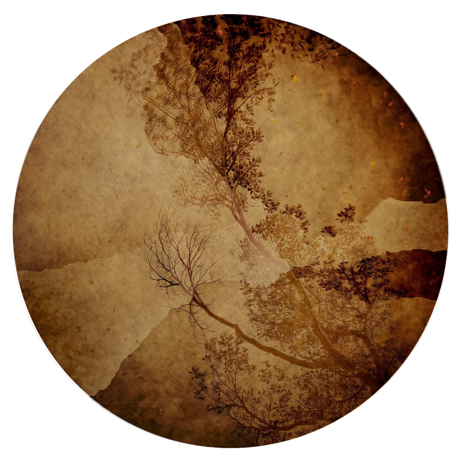 Lily Leung, Nexus, 2018