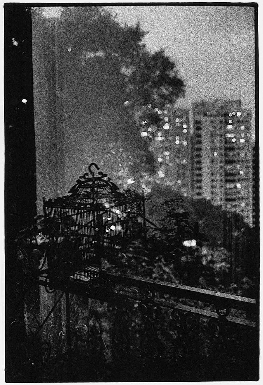 Serge Clément, Cage, 1997