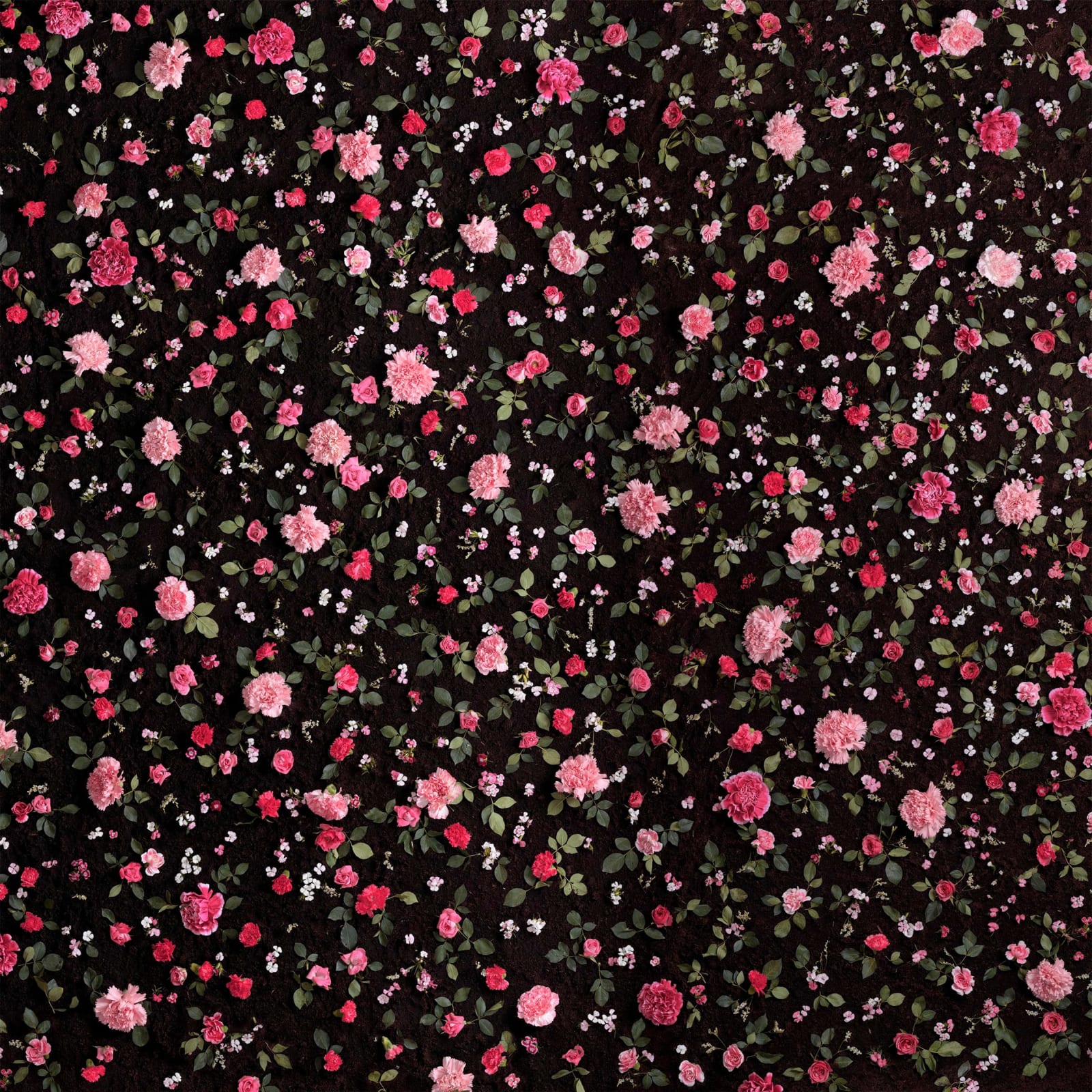 Eason Tsang, Floral Fabric #1, 2013