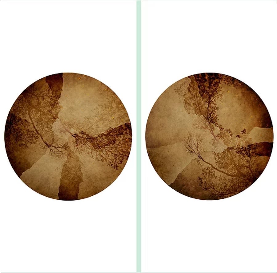 Lily Leung, Eclipse & Nexus, 2018