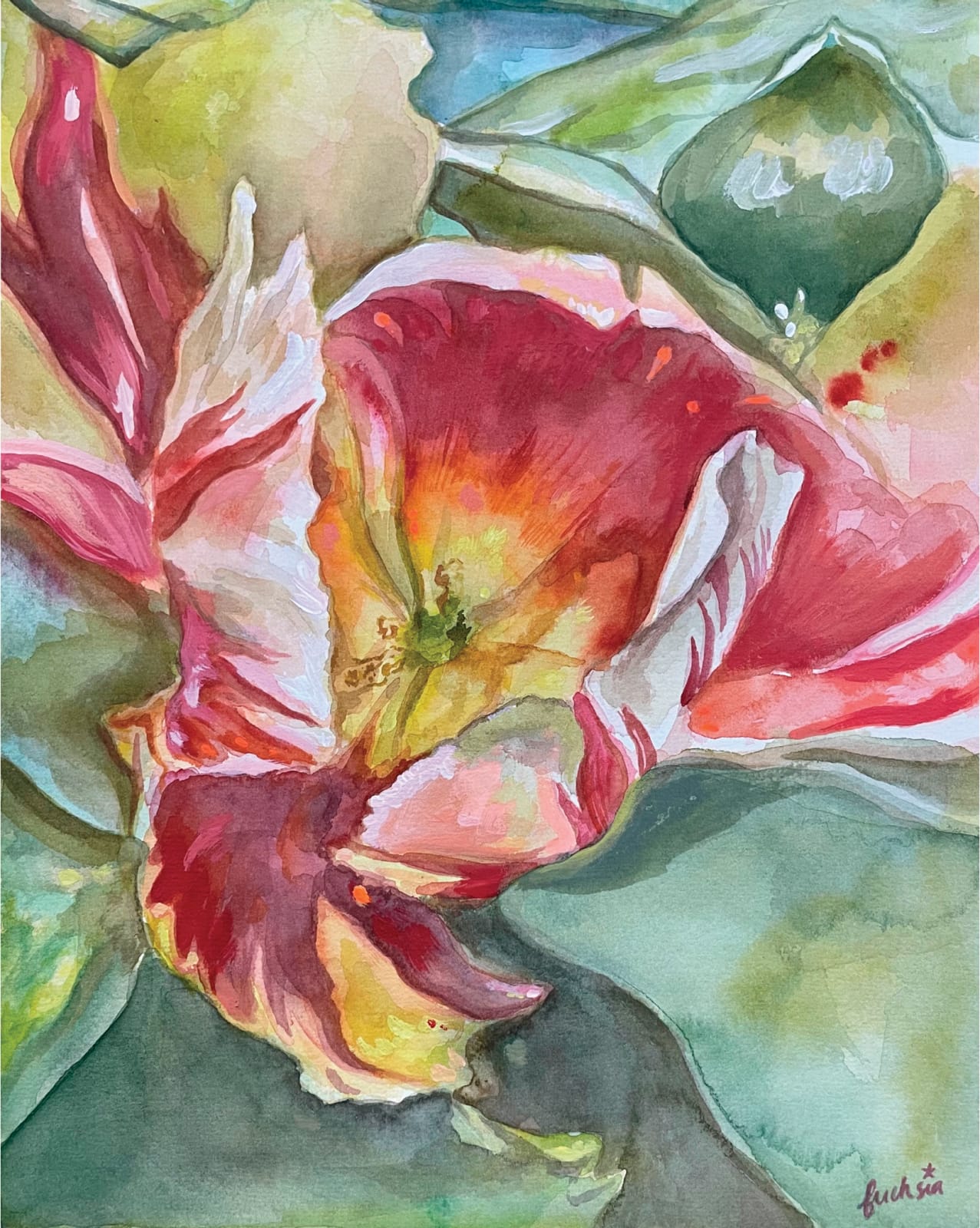 fuchsia, Bloom 2, 2023