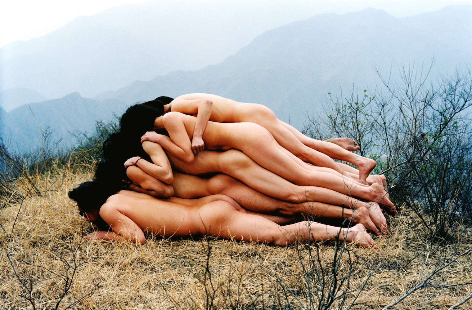 Cang Xin, To Add One Metre To An Unknown Mountain, 1995