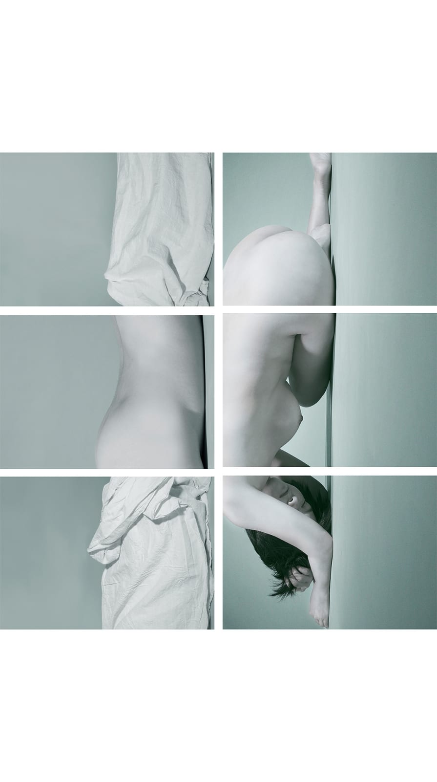 Lily Leung, Desire and Rivalry, 2018