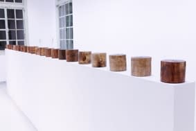 Chan Chor Yu Wayne, Contains, 2017