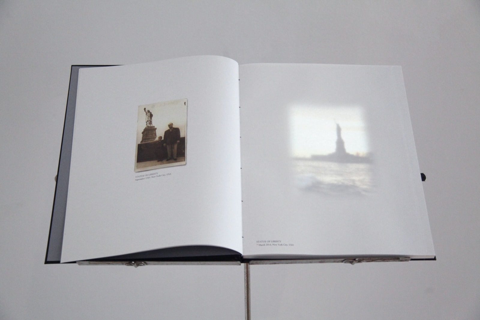 Ken Matsubara, Statue of Liberty, 2014