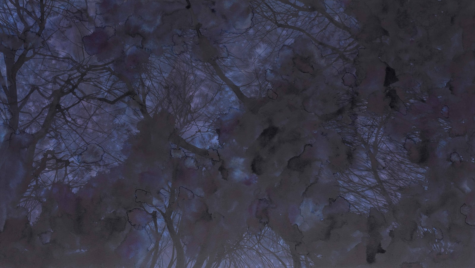 Pan Jian, Unimaginable Purple 2016-11, 2016