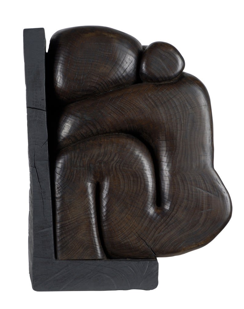 Wang Keping, Untitled 13 - WK06, 2005