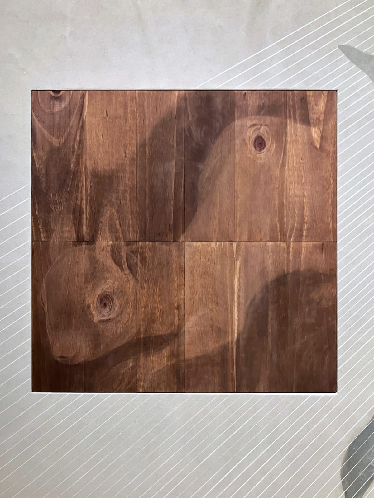 He Mingyi, Rina, Concrete Entrapment and the Bird of Paradise, 2024