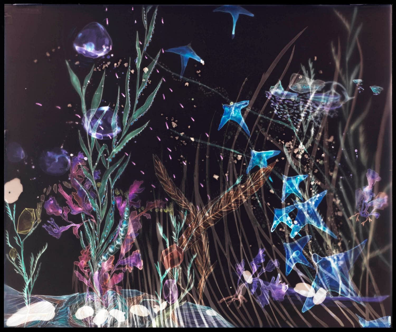 Christine Nguyen, Rockweeds And The Blue Skates Escape, 2009