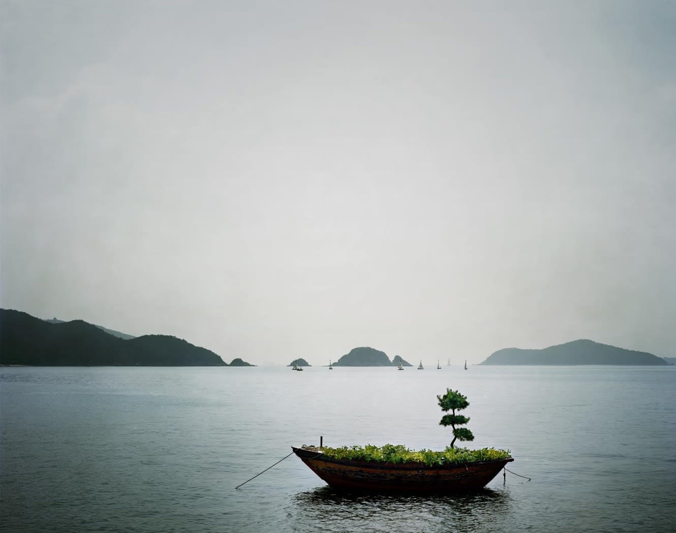 anothermountainman (Stanley Wong), Heaven on Earth 2, 2009