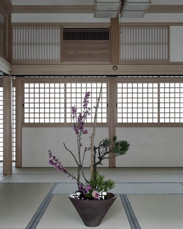 anothermountainman (Stanley Wong), reborn ikebana - 05A by anothermountainman (Stanley Wong) x Shuho, 2011