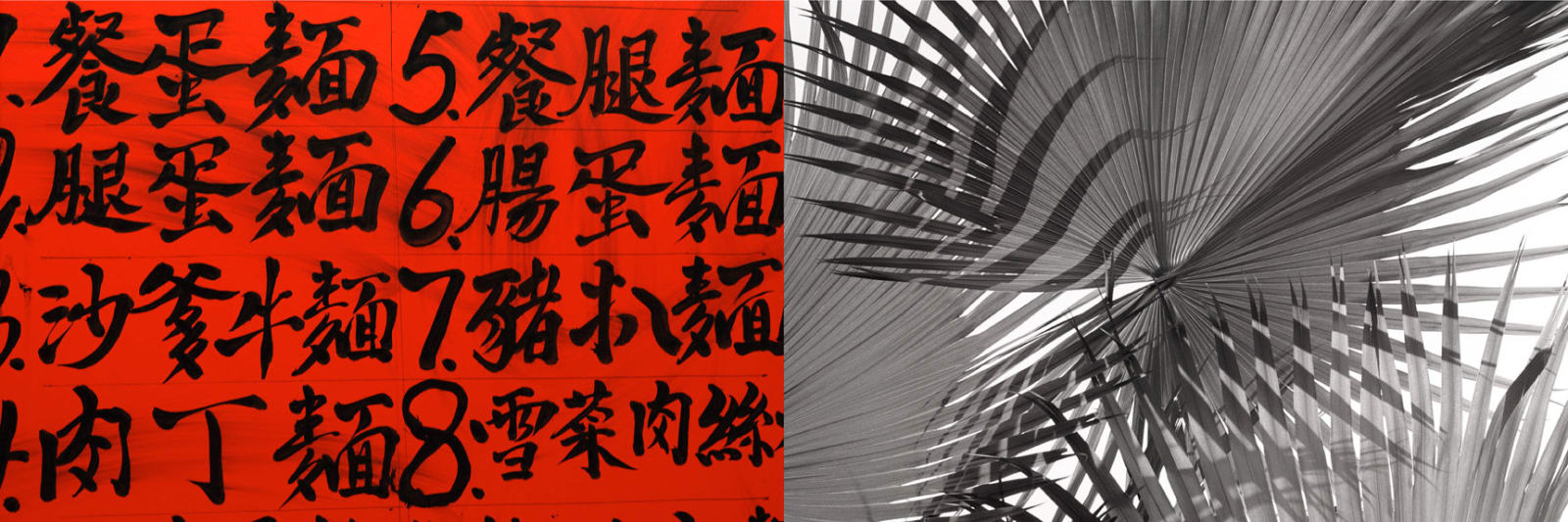 William Furniss, Noodles - Palms, 2005