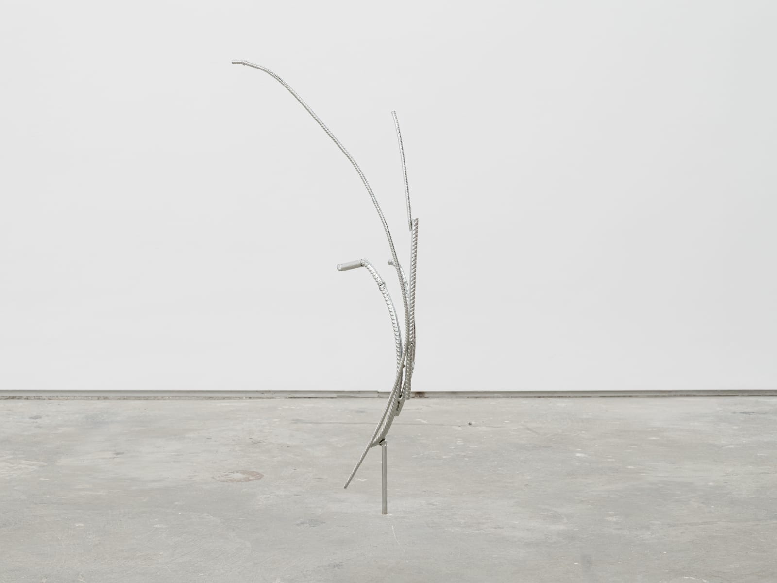 Maarten Van Roy, Mass Flare #2 , 2024