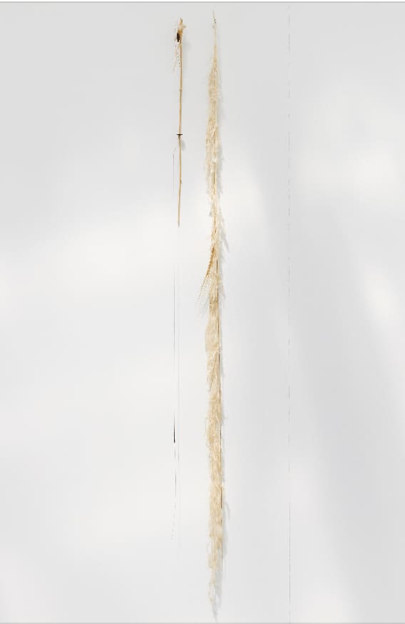 Luca Vanello, Unaware scribbles undress like foliage veins (Fragments 12), 2023