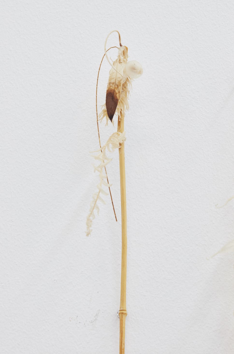 Luca Vanello, Unaware scribbles undress like foliage veins (Fragments 12), 2023
