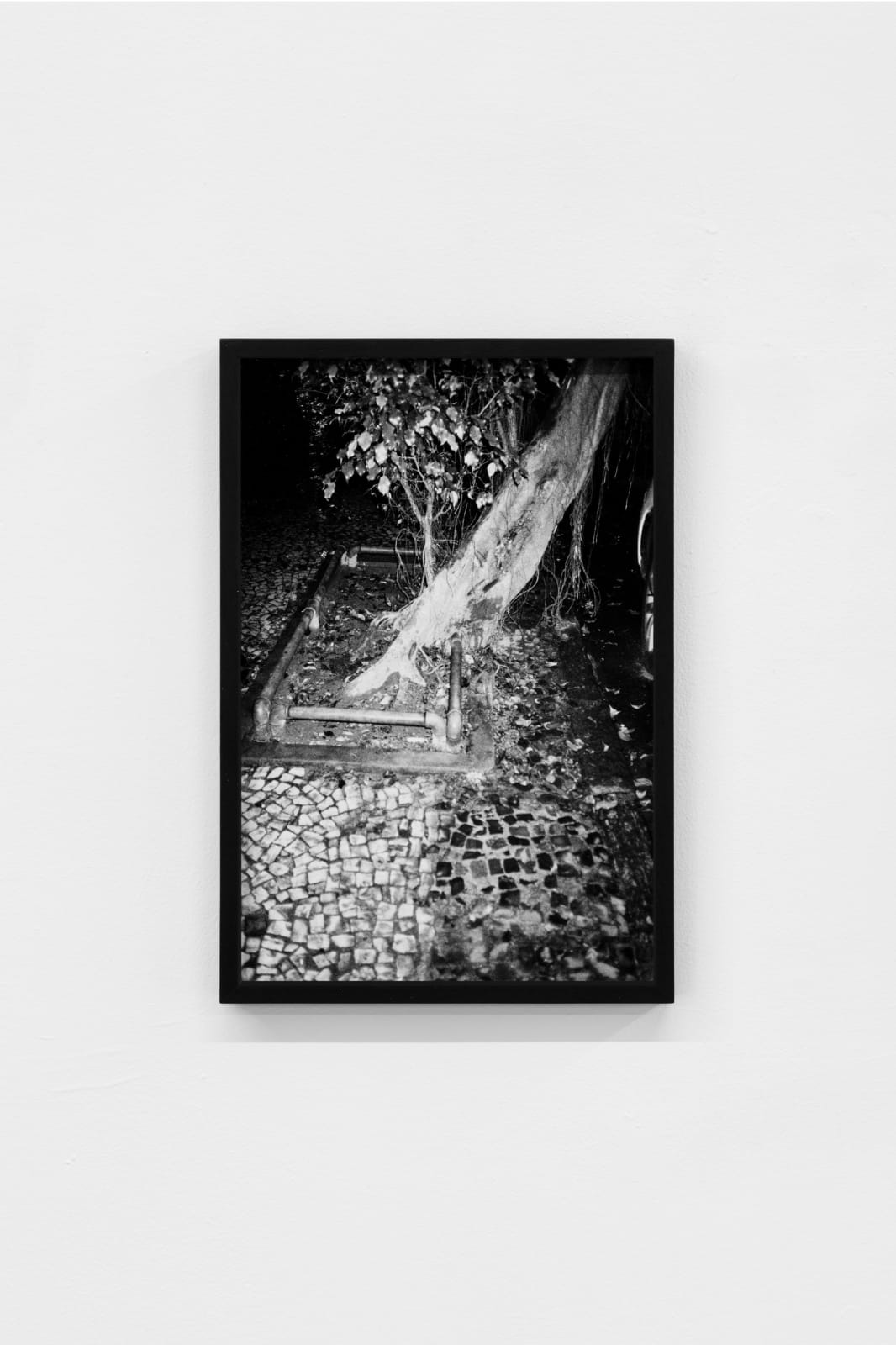 Nicolas Bourthoumieux, Deuxième Nature (II), 2023