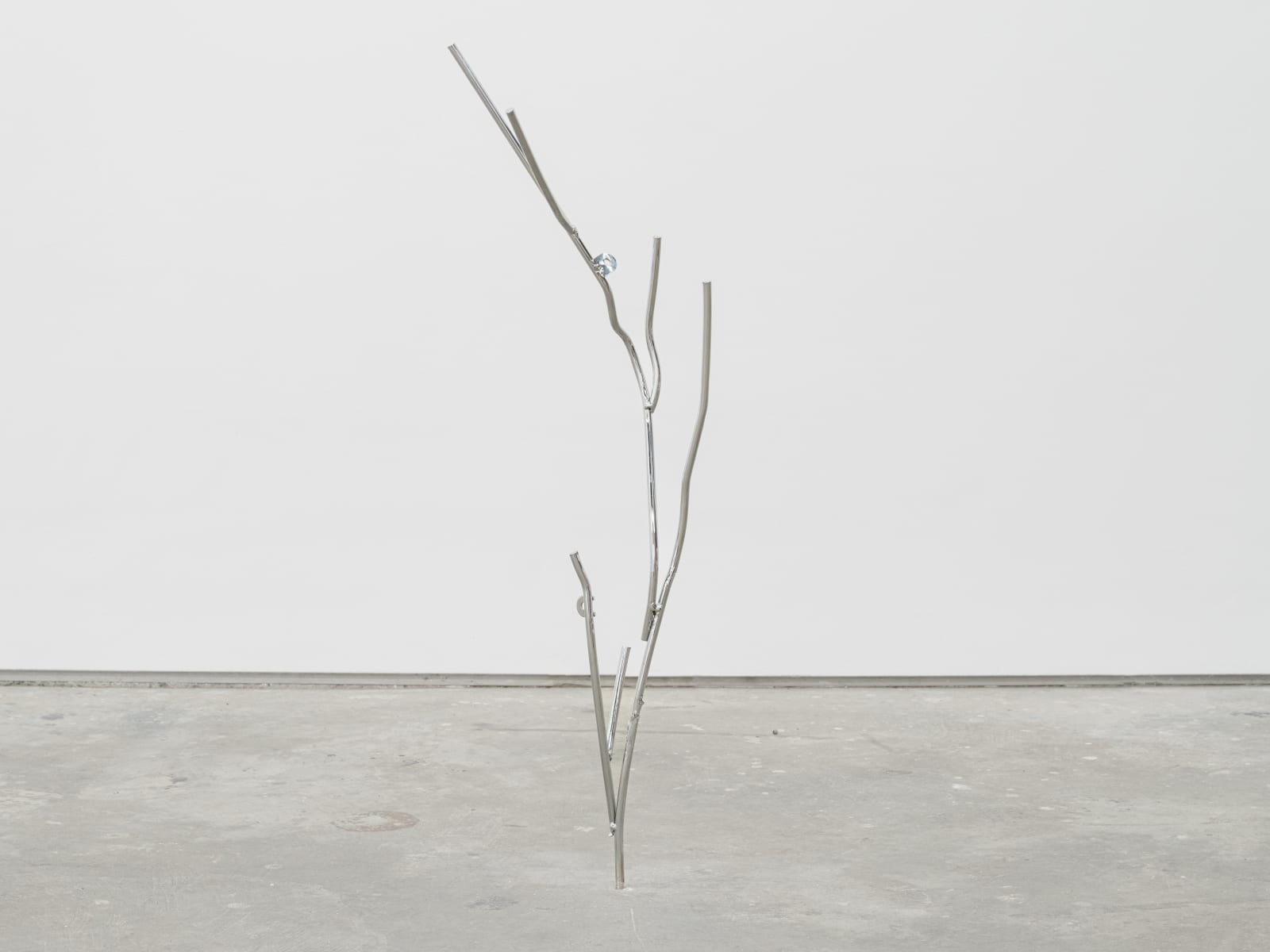 Maarten Van Roy, Mass Flare #3 , 2024