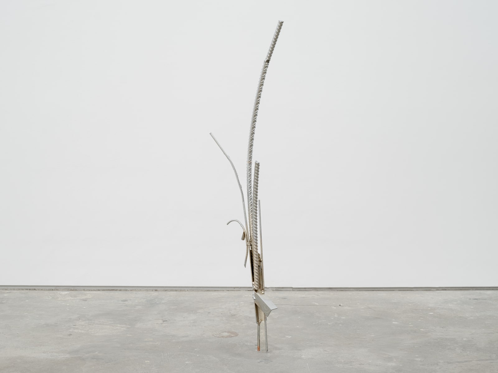 Maarten Van Roy, Mass Flare #1 , 2024